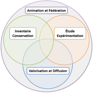 Schéma des 4 grandes missions du Pôle Fruitier de Bretagne: - Inventaire et Conservation - Étude et Expérimentation - Valorisation et Diffusion - Et ce qui regroupe le tout : Animation et Fédération