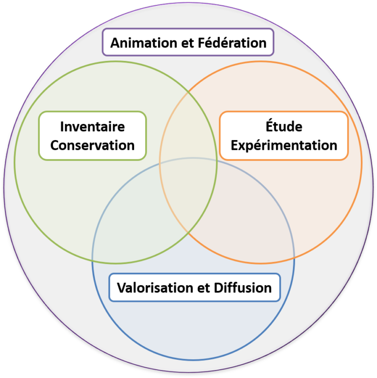 Schéma des 4 grandes missions du Pôle Fruitier de Bretagne: - Inventaire et Conservation - Étude et Expérimentation - Valorisation et Diffusion - Et ce qui regroupe le tout : Animation et Fédération